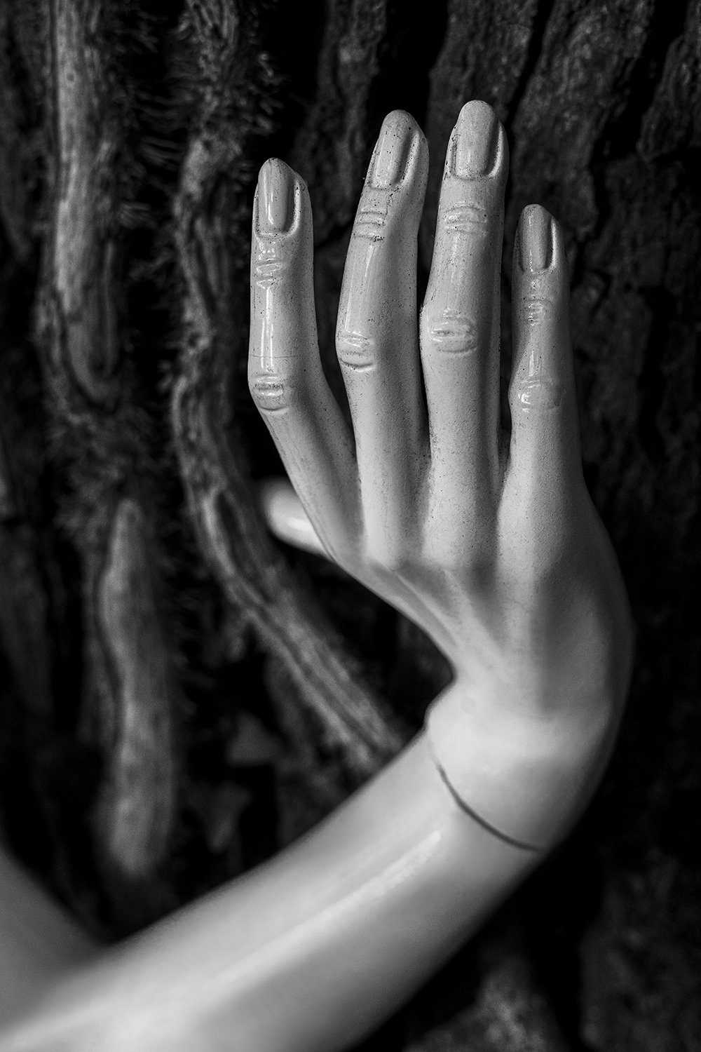 The Nature of all Things