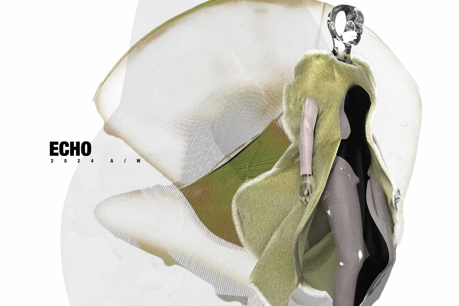 Echo | 2024