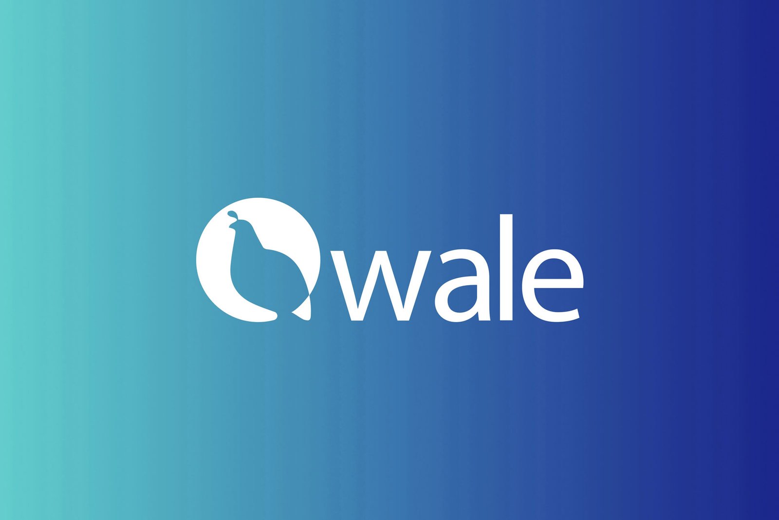 Qwale Logo Redesign: A Fusion of Color Psychology and Design | 2024