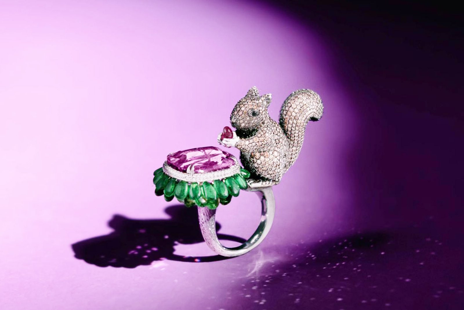 Squirrel Ring | 2024