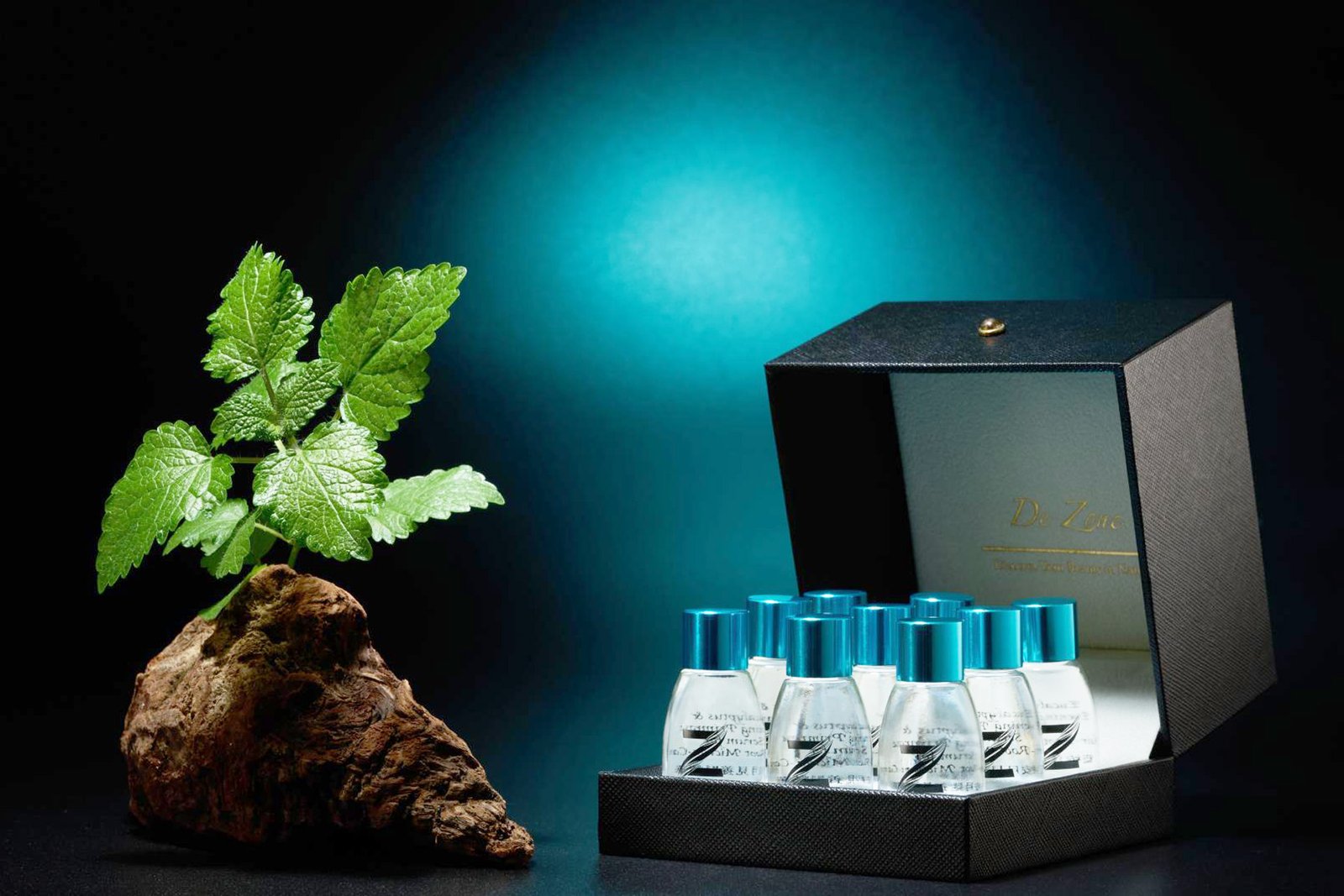 Eucalypyus & Evening Primrose Serum For Hair-Root Micron-Care | 2024