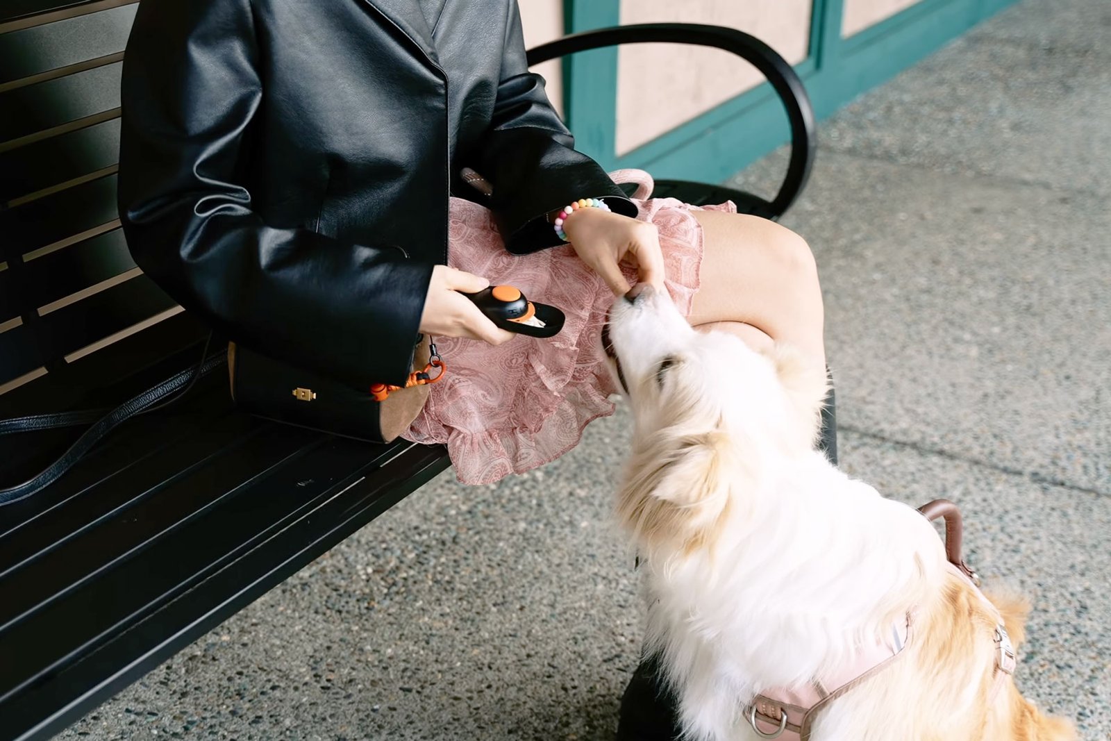 Clink Clicker | 2024