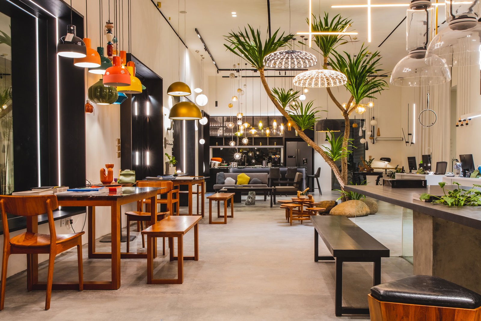 Eco - Luminance Oasis | 2023