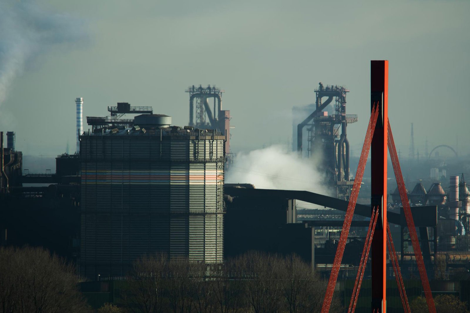 Gray and colorful | 2023