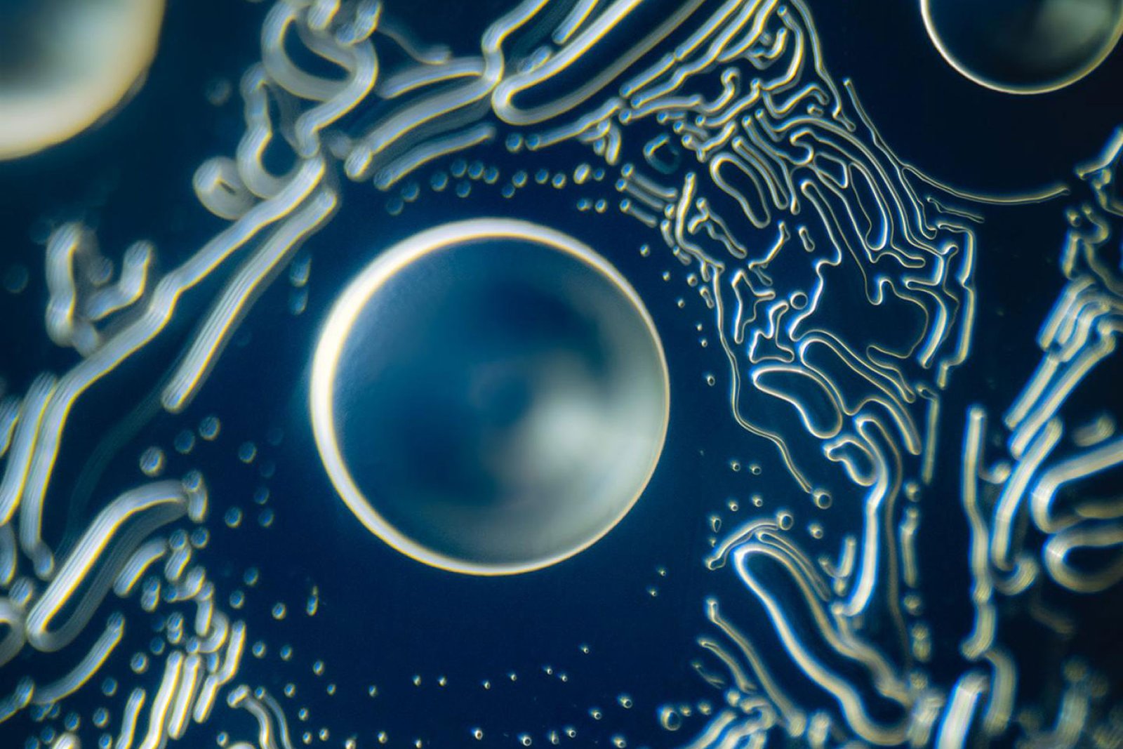 "What am I looking at?"