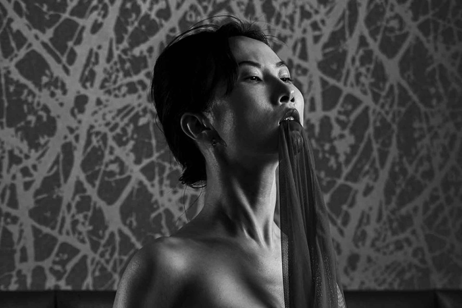 Queen of Harmony | 2023