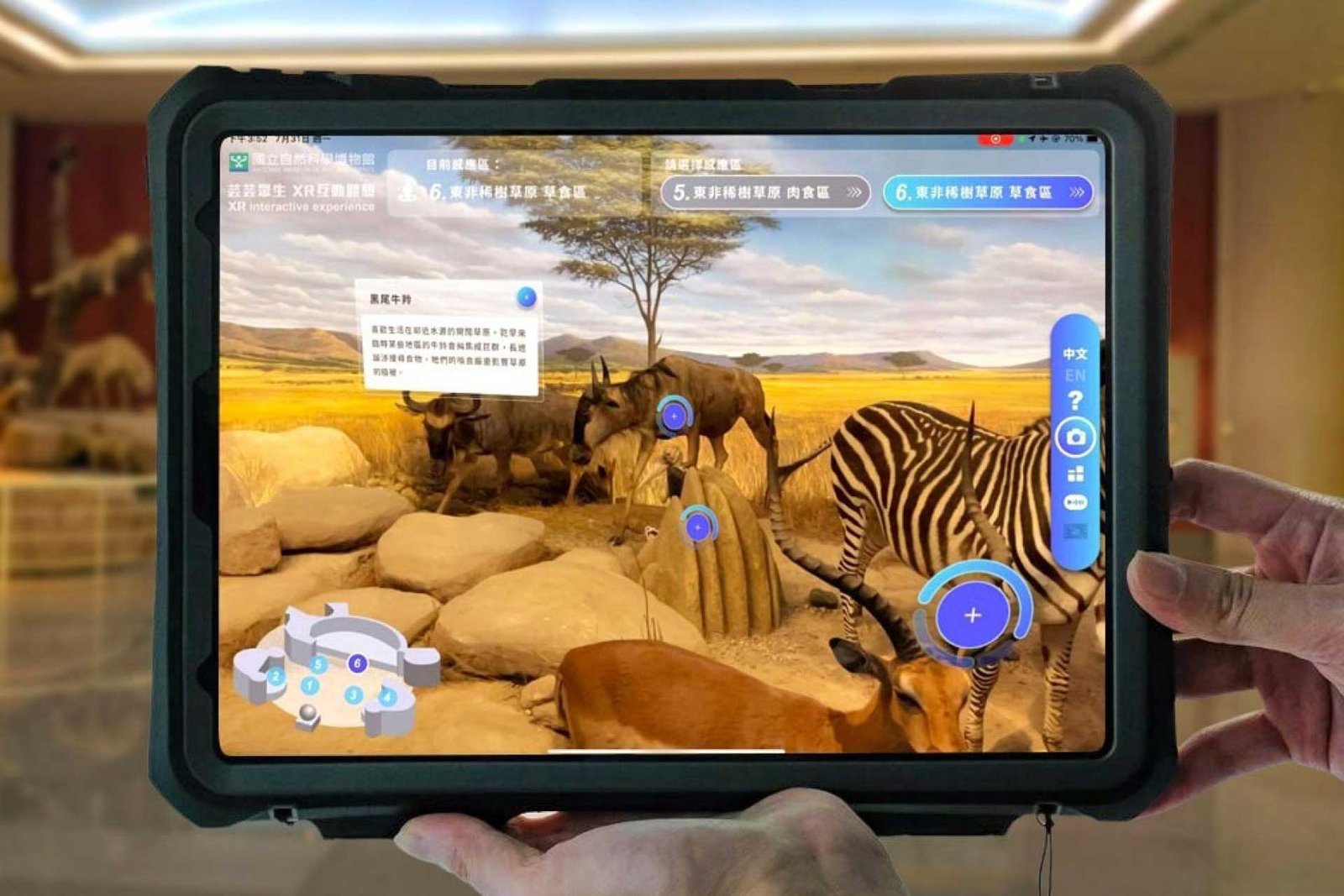 NMNS XR Phygital Museum Guided System | 2023