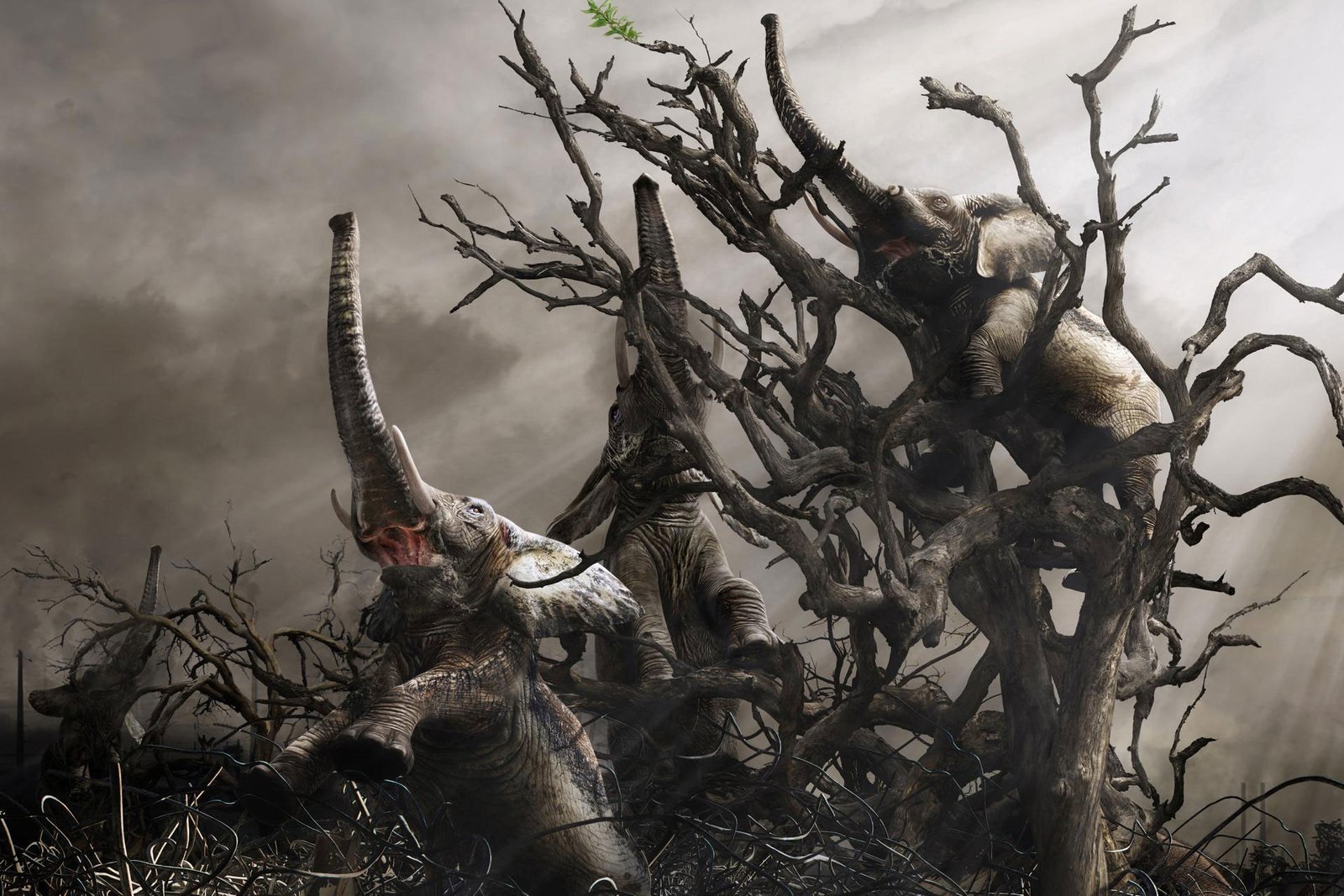 The last feed. | 2023