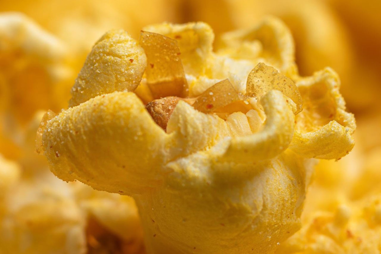 Popped to Perfection | 2023