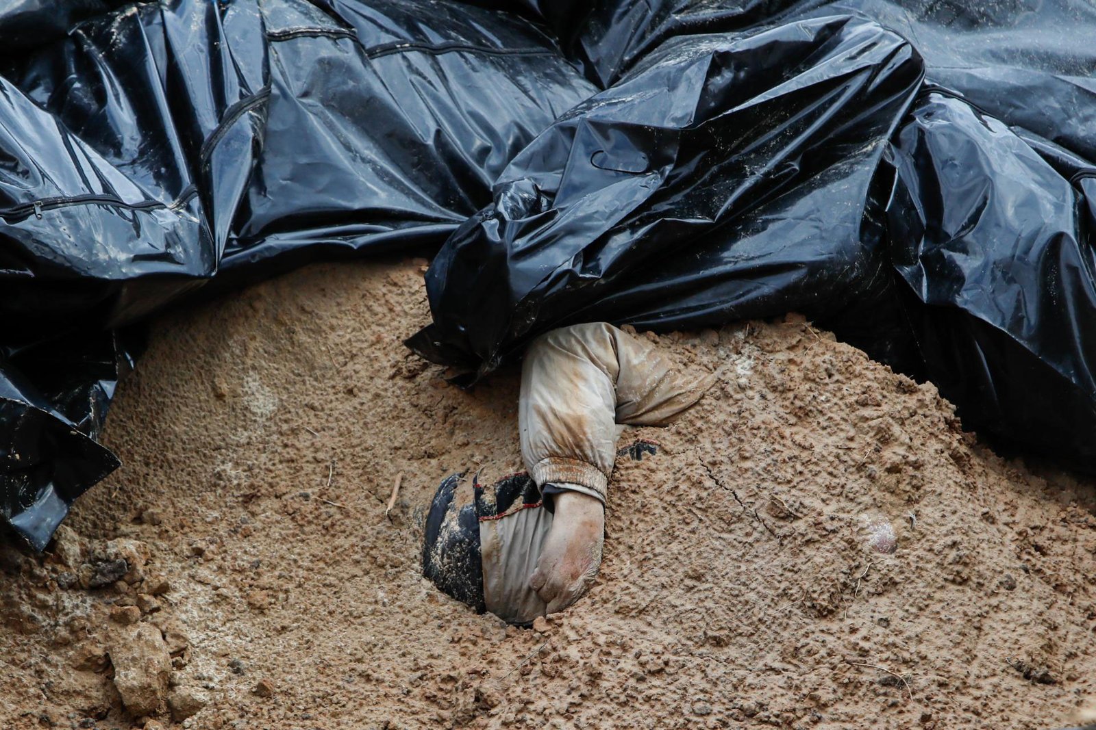 Ukraine:The terror of war | 2023