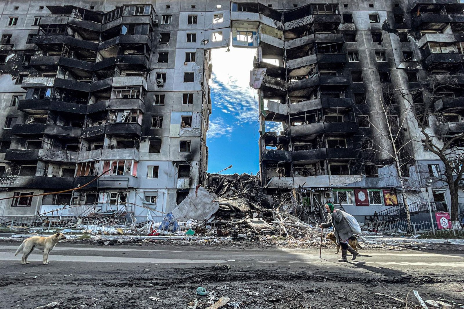 War and Peace | 2023