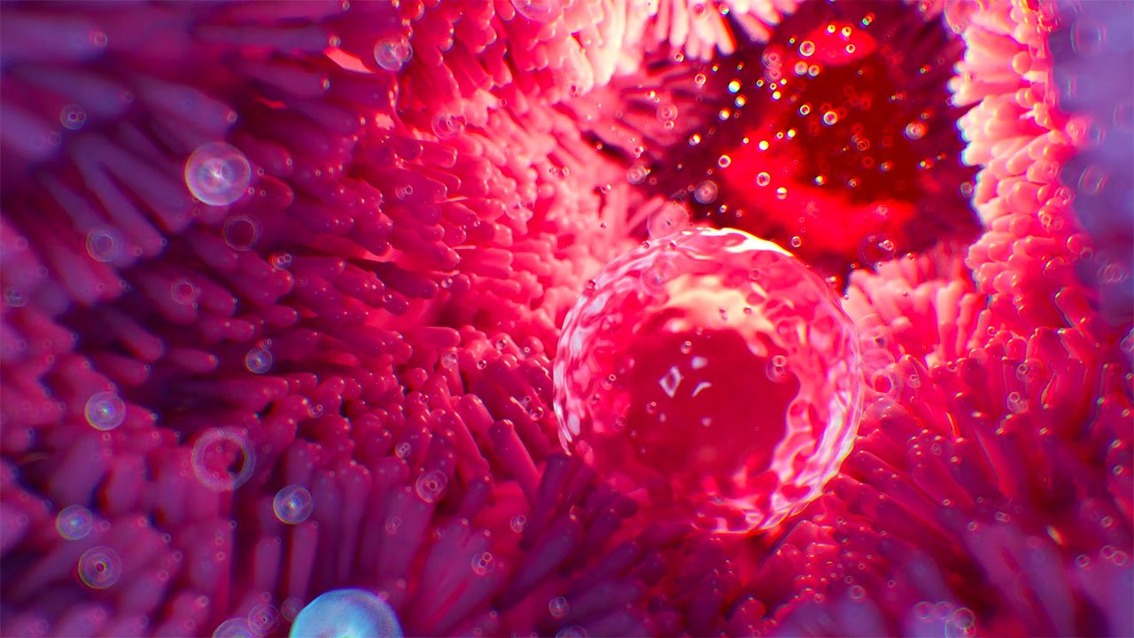 Ovulation Explained | How ovulation works? | 2023