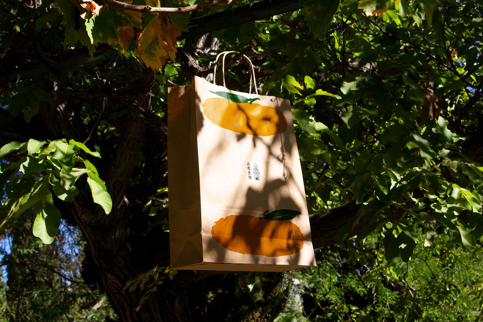 扫地僧 Saodi Seng | 2023