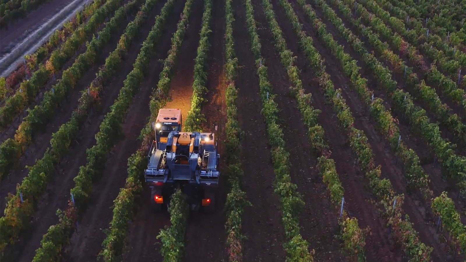 Mondavi Sisters Family Legacy: Leading Between the Vines | 2023