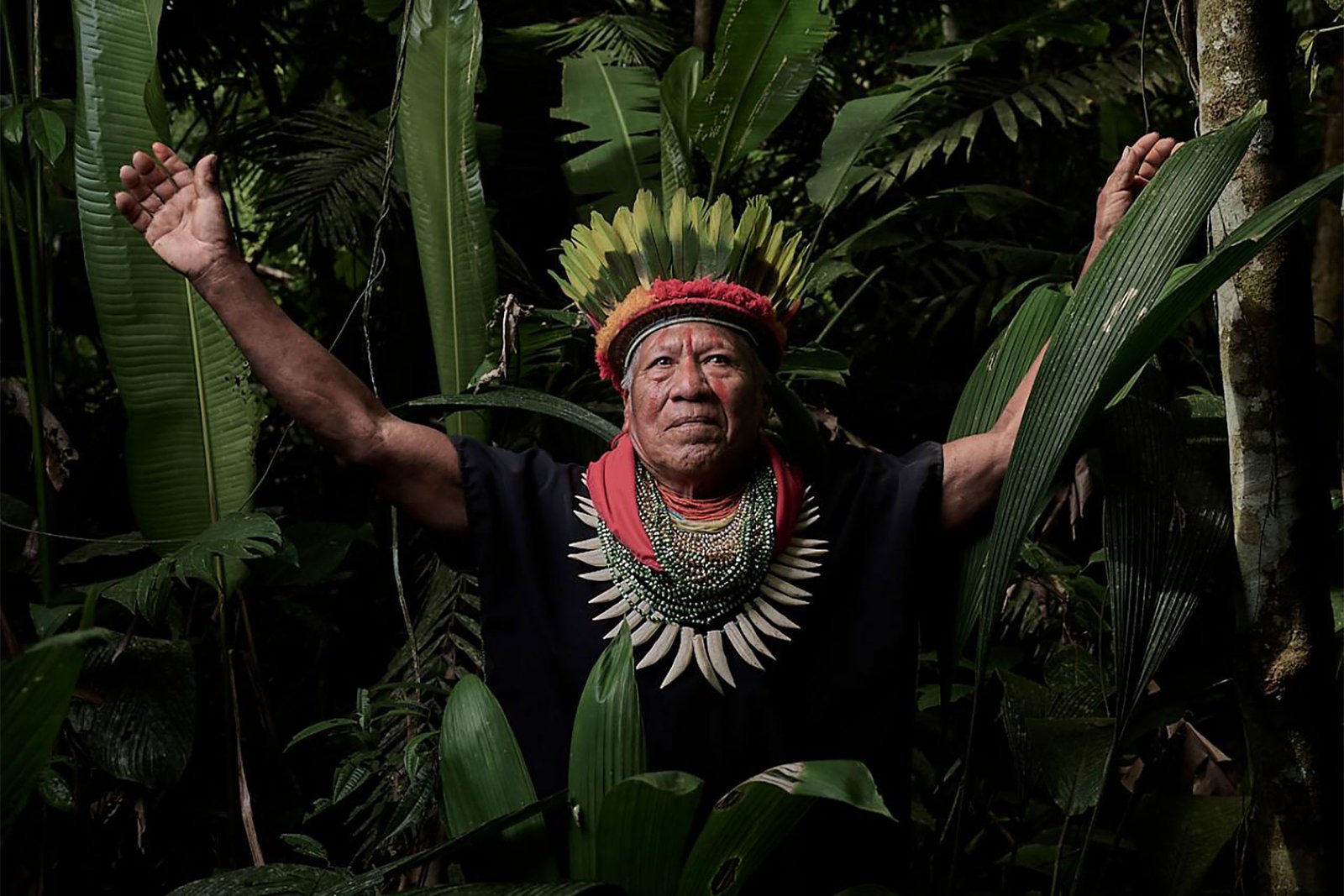 Tribes of the Ecuadorian Amazon at a life crossroads | 2023