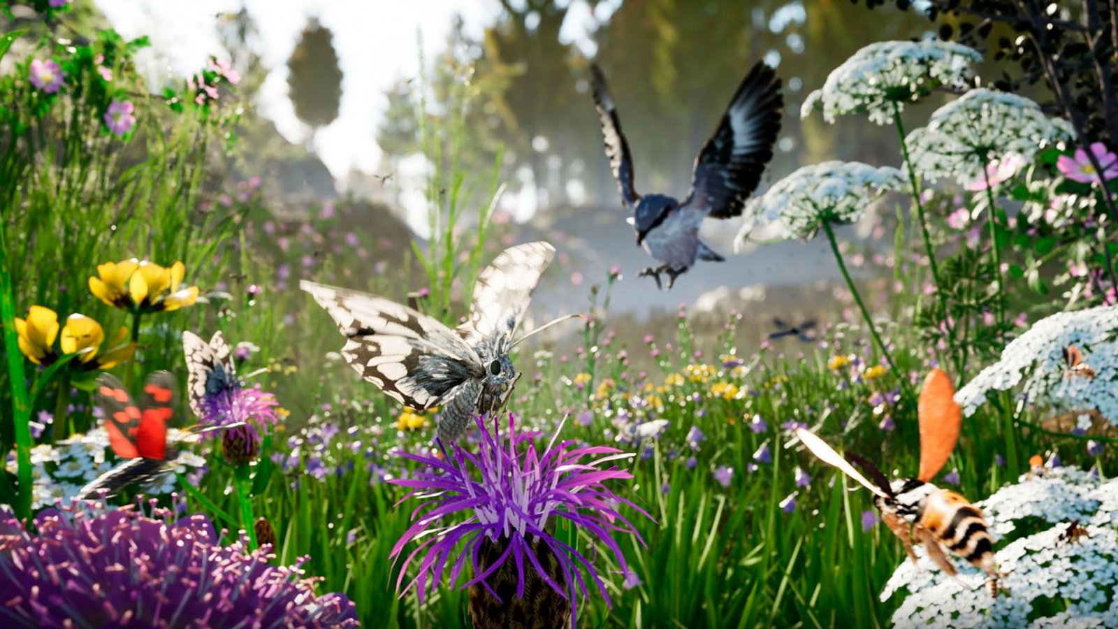 Birdly Insects | 2022