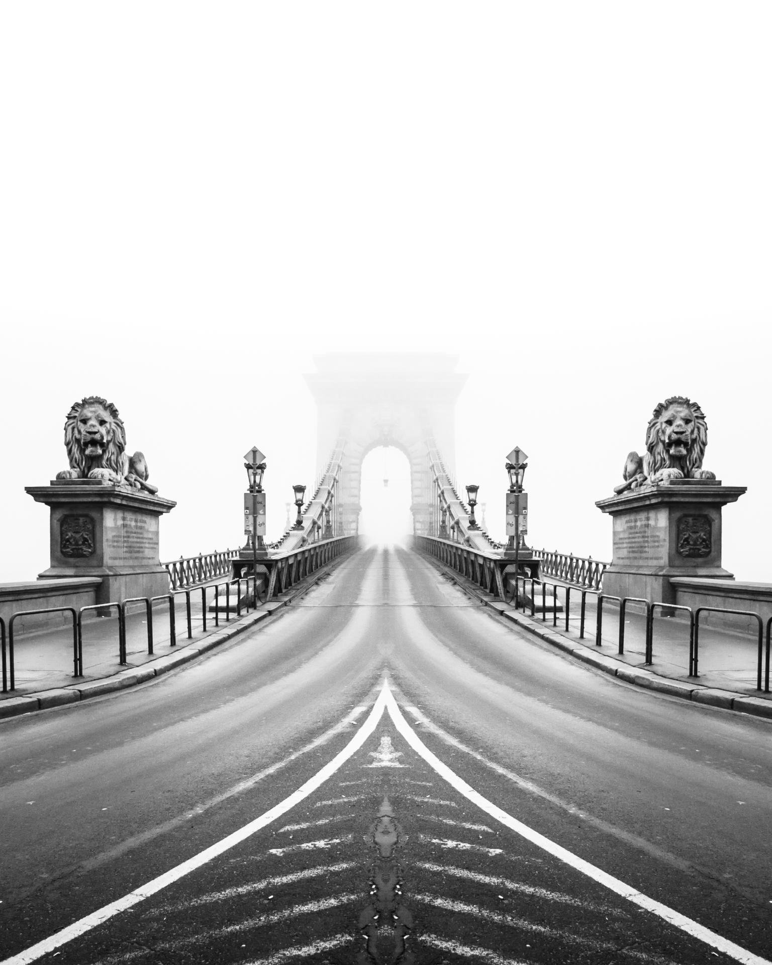 Perfect Illusion | 2022