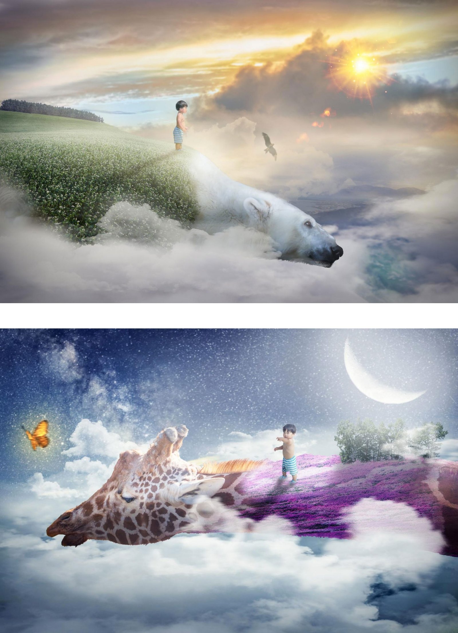 One summer adventure | 2022