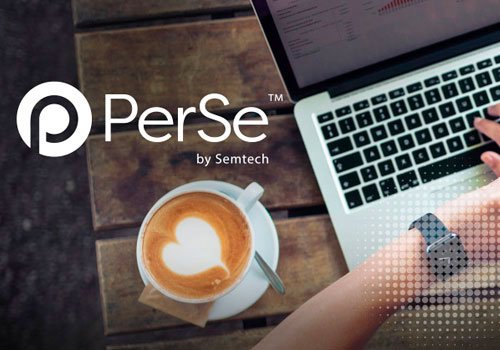 PerSe: Technology Solution Portfolio Naming | 2022