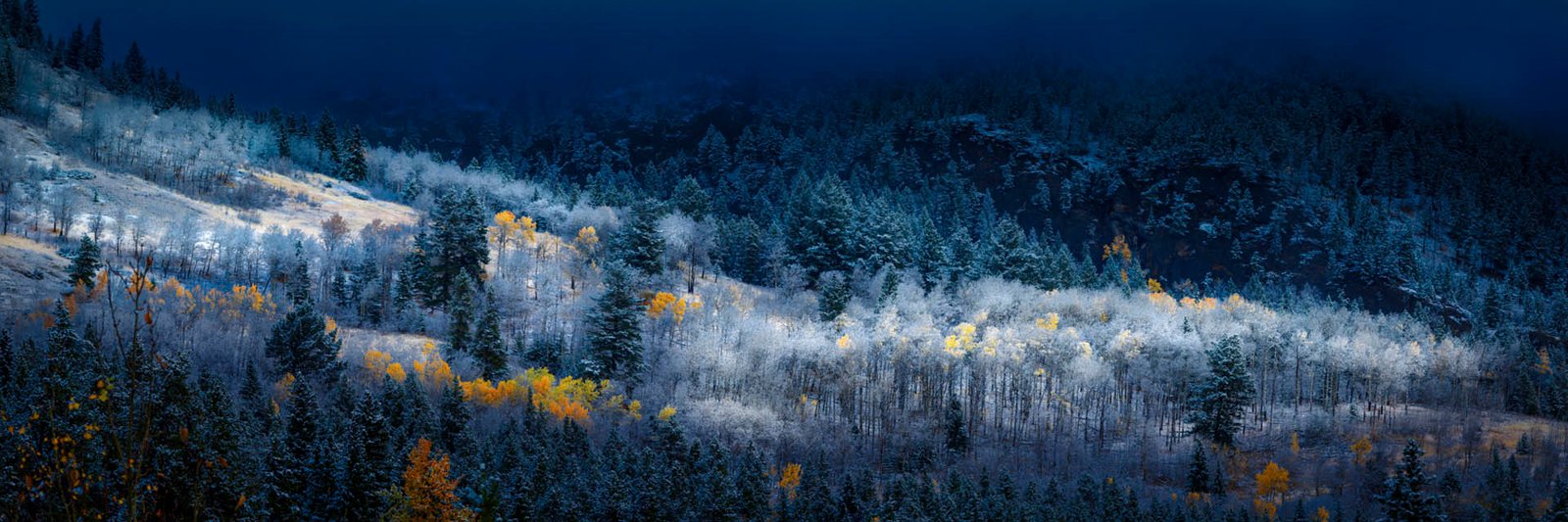 Breath of Winter | 2021