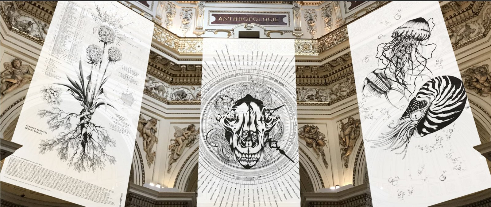 Germany  |  Lazarus Effekt | 2020
