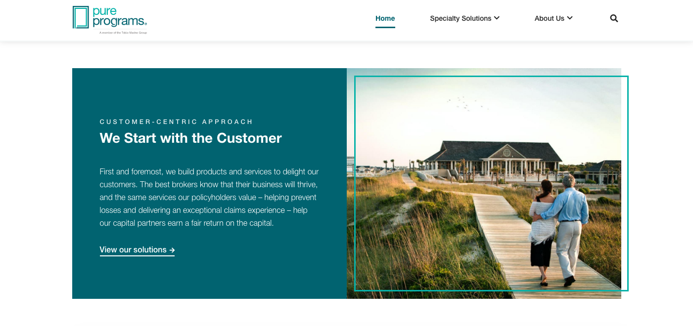 Brand & Website | 2020