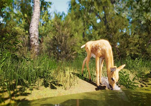 West 5 Nature Walk-VR experience | 2019