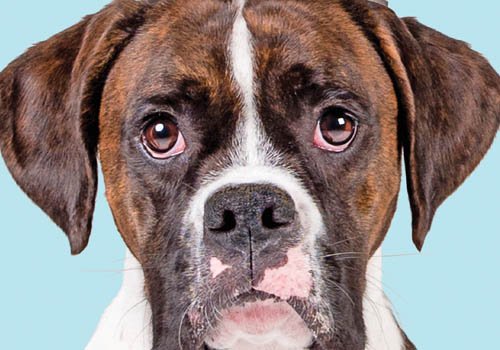 2018 Colorado Ballet Campaign | 2019