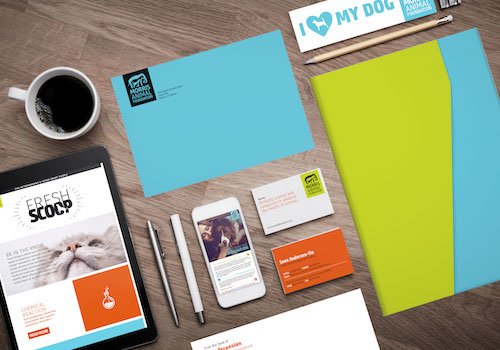 Identity Suite |  2019