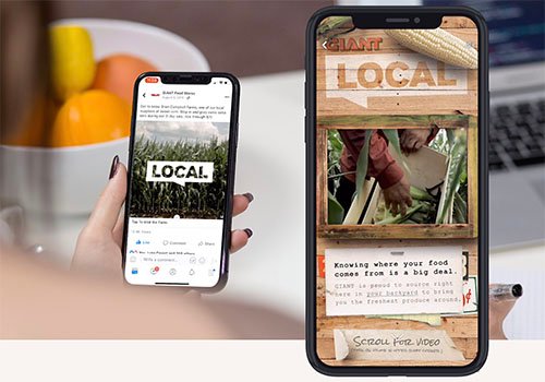 Fresh Stories | 2019