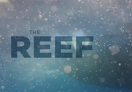 The Reef | Social Video | 2019