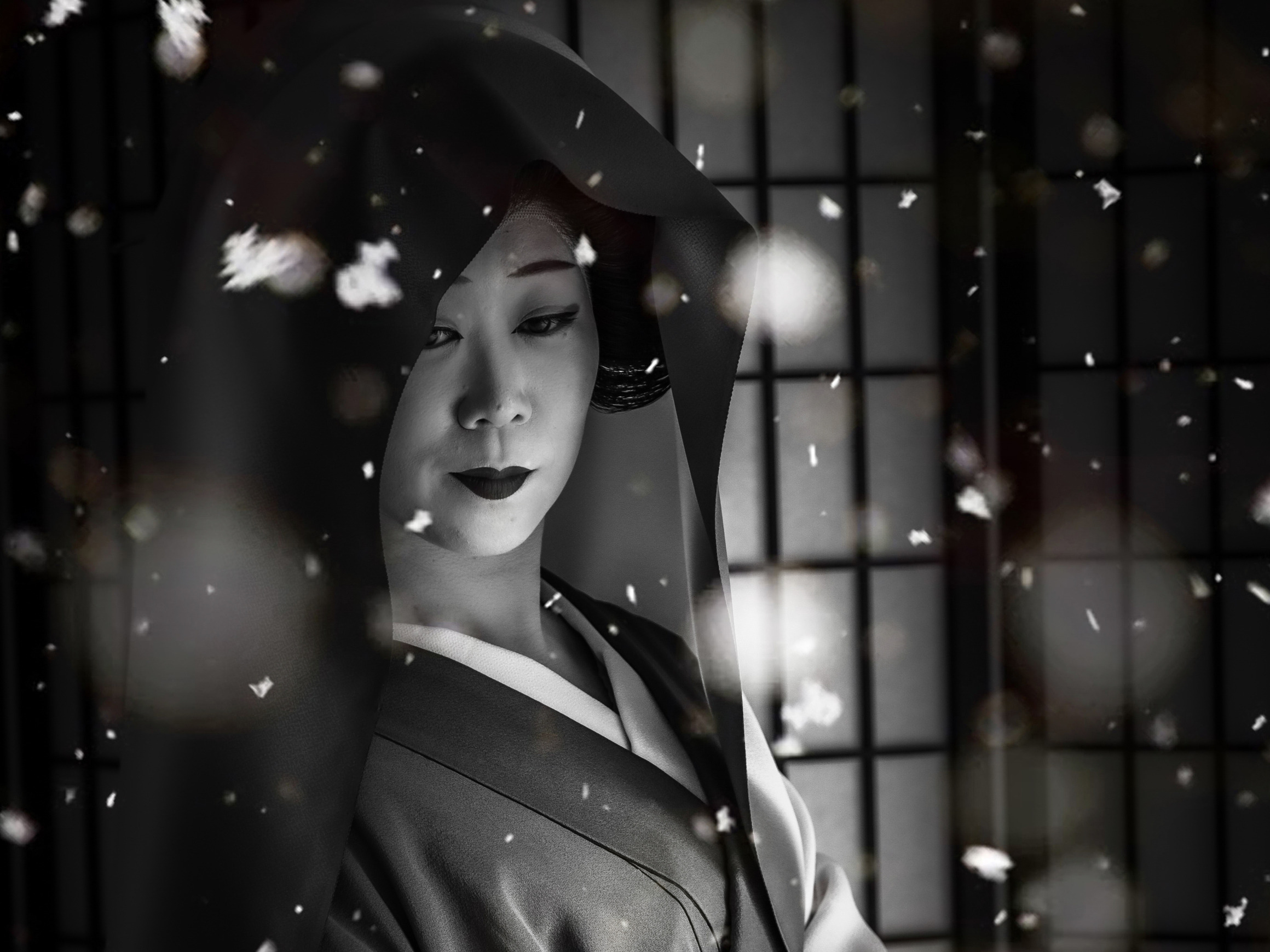 Fire in my heart | 2023