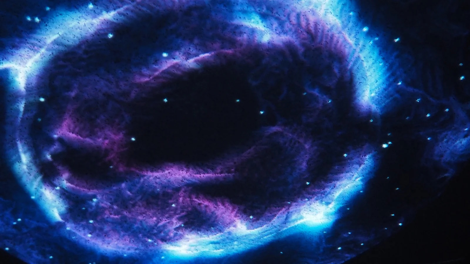 Let it Grow | 2025 NY Digital Awards