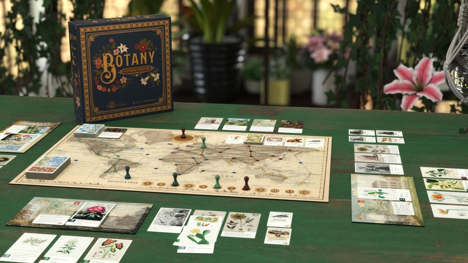 BOTANY: Flower Hunting in the Victorian Era | 2025 Vega Digital Awards