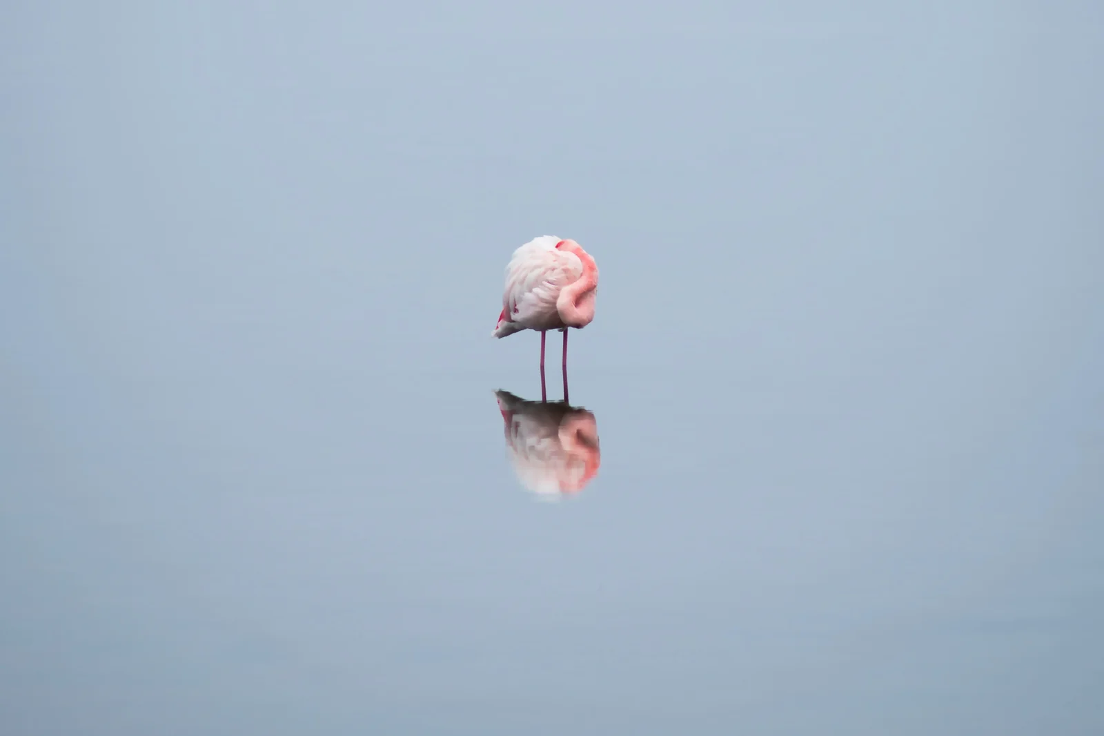 Yoga | New York Photography Awards