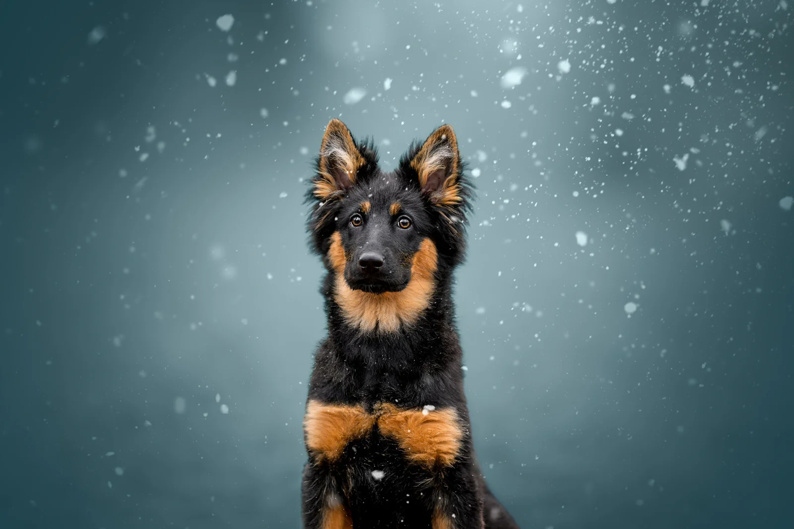 The Fragility of the Moment