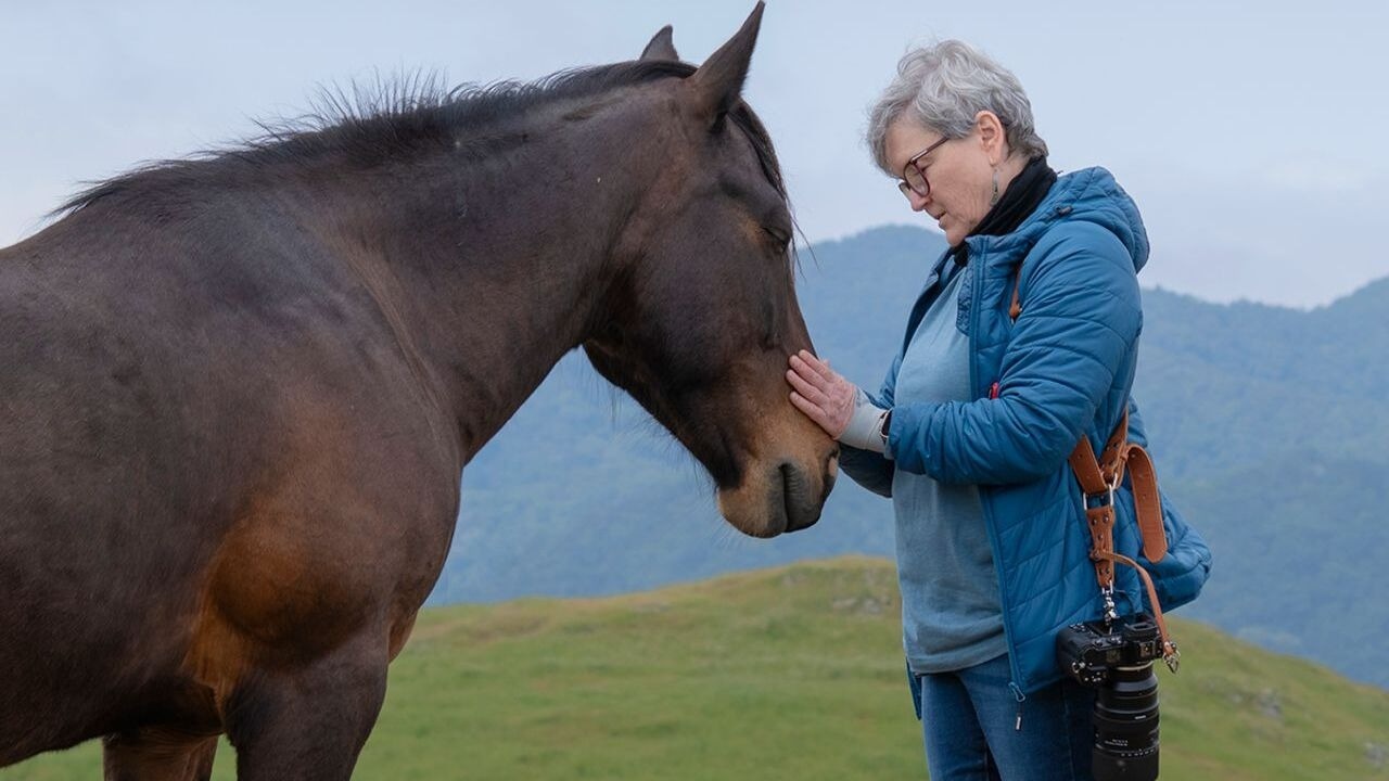 Equine Elegance and Natural Majesty: The World Through Leslie Robins’ Eyes