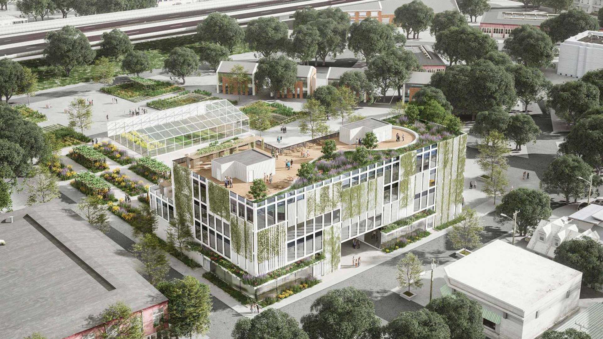 What Cheer Flower Farm