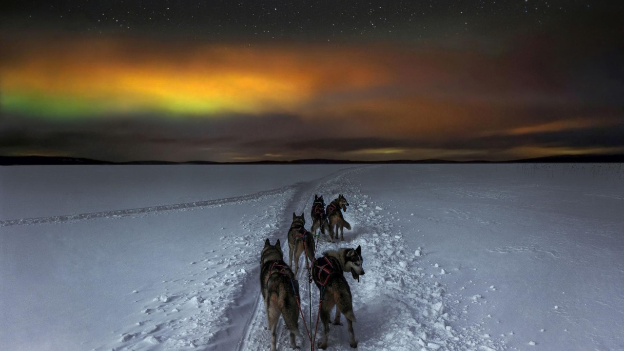 Aurora Hunter