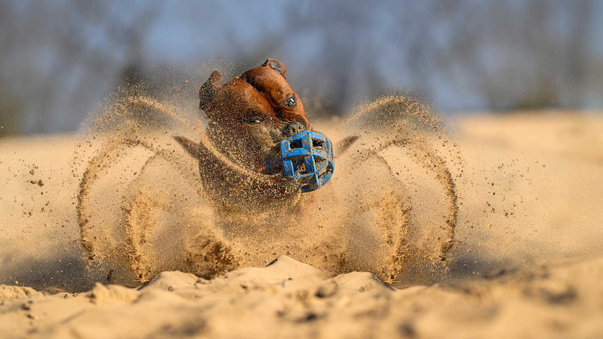 Sandstorm Spirit