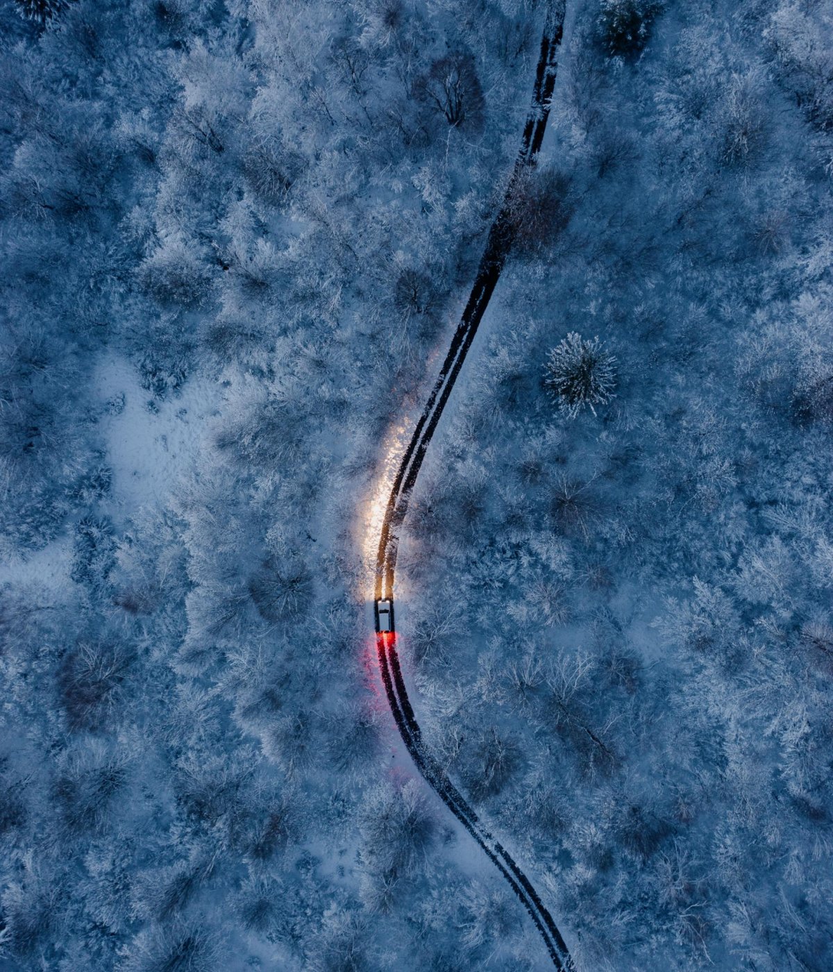 Snowy drive | 2025 London Photography Awards